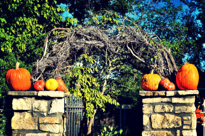 Wisteria & Gourd Arched Entrance